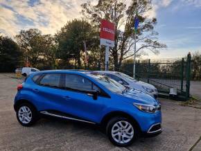 RENAULT CAPTUR 2015 (65) at Troops Leadenham